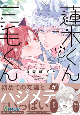 蓮木君和三毛君