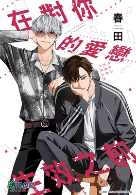 在對你的愛戀生效之前