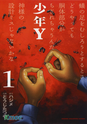 少年Y