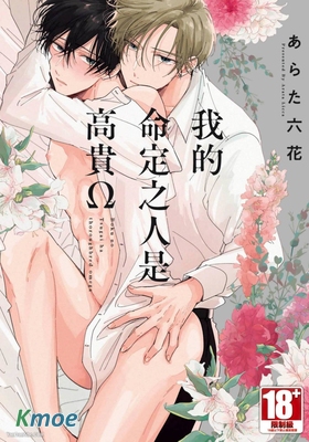 我的命定之人是高貴Ω