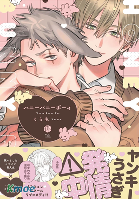 甜蜜兔子男孩