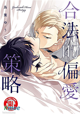 合法的偏愛策略