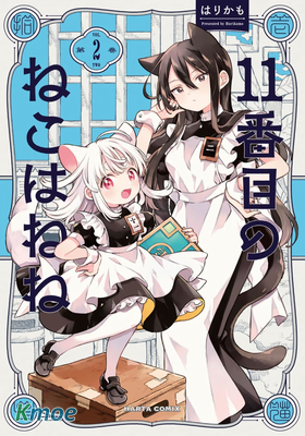 第十一隻貓是寧寧