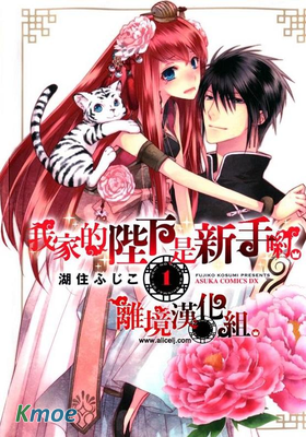 我家的陛下是新手喲。