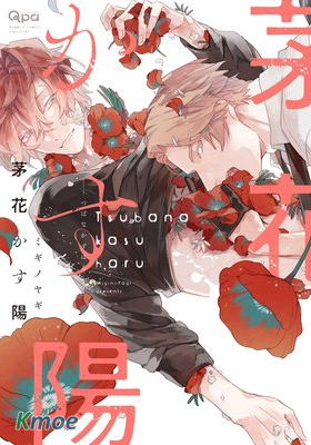 茅與陽的治癒愛情