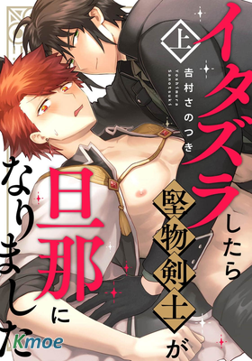 イタズラしたら堅物剣士が旦那になりました