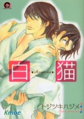 白貓
