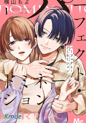 完美支配