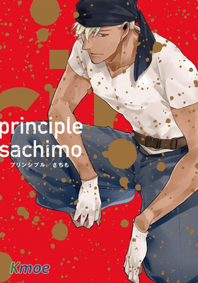 principle原則