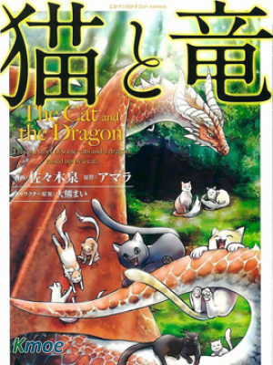 貓與龍