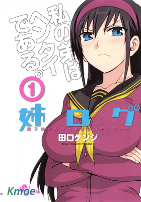 姉ログ