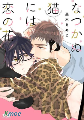 送給傲嬌貓咪的戀之花