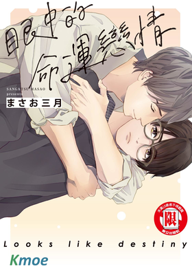 眼中的命運戀情