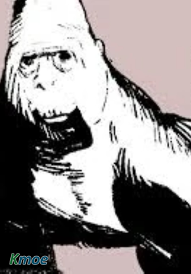 大猩猩1天後會死