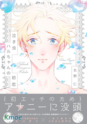 愛哭鬼晴的初戀