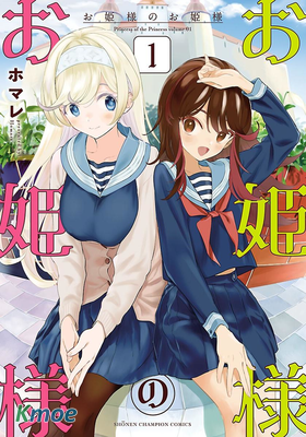 公主大人的公主